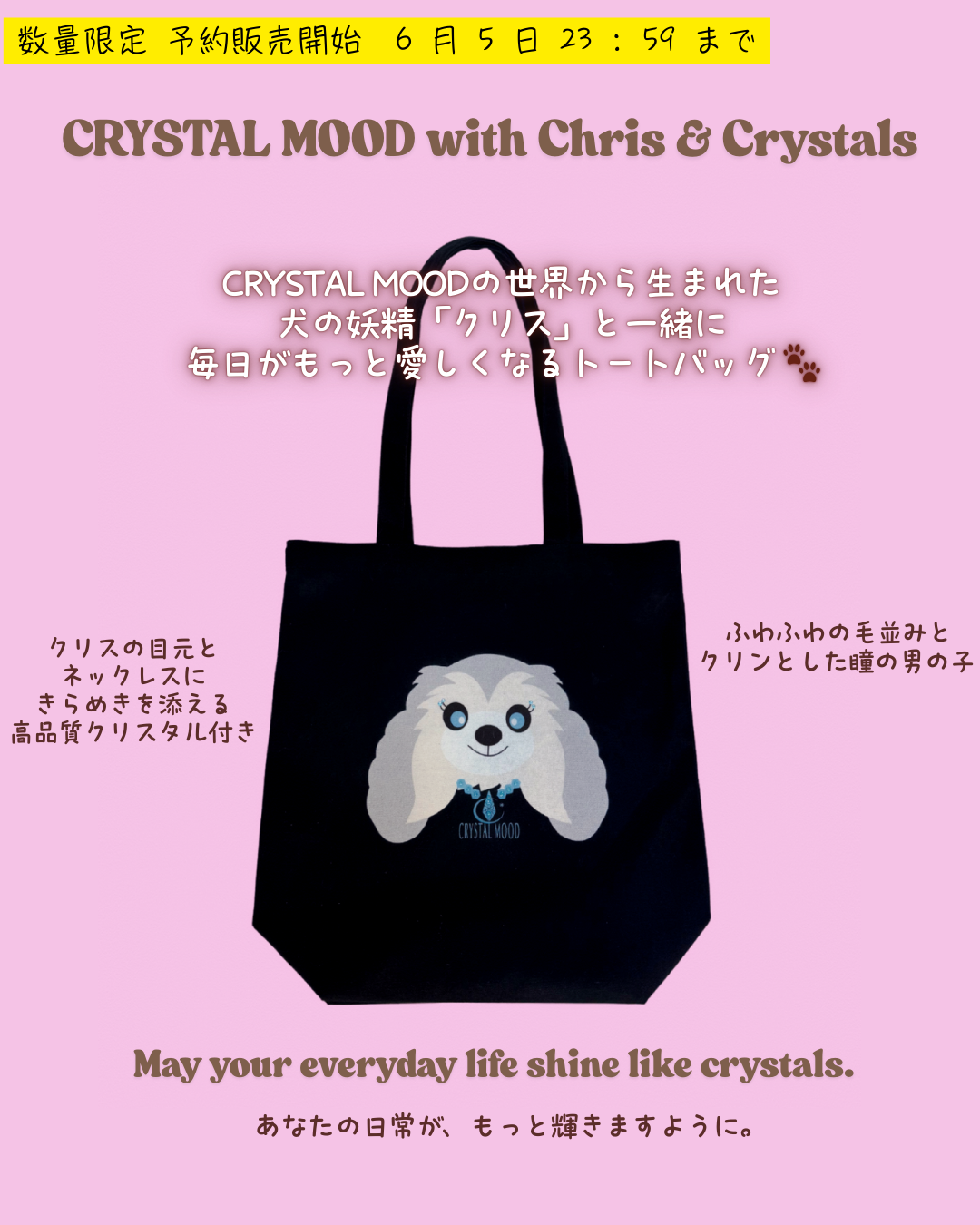 Chris with Crystals tote bag /shadow black