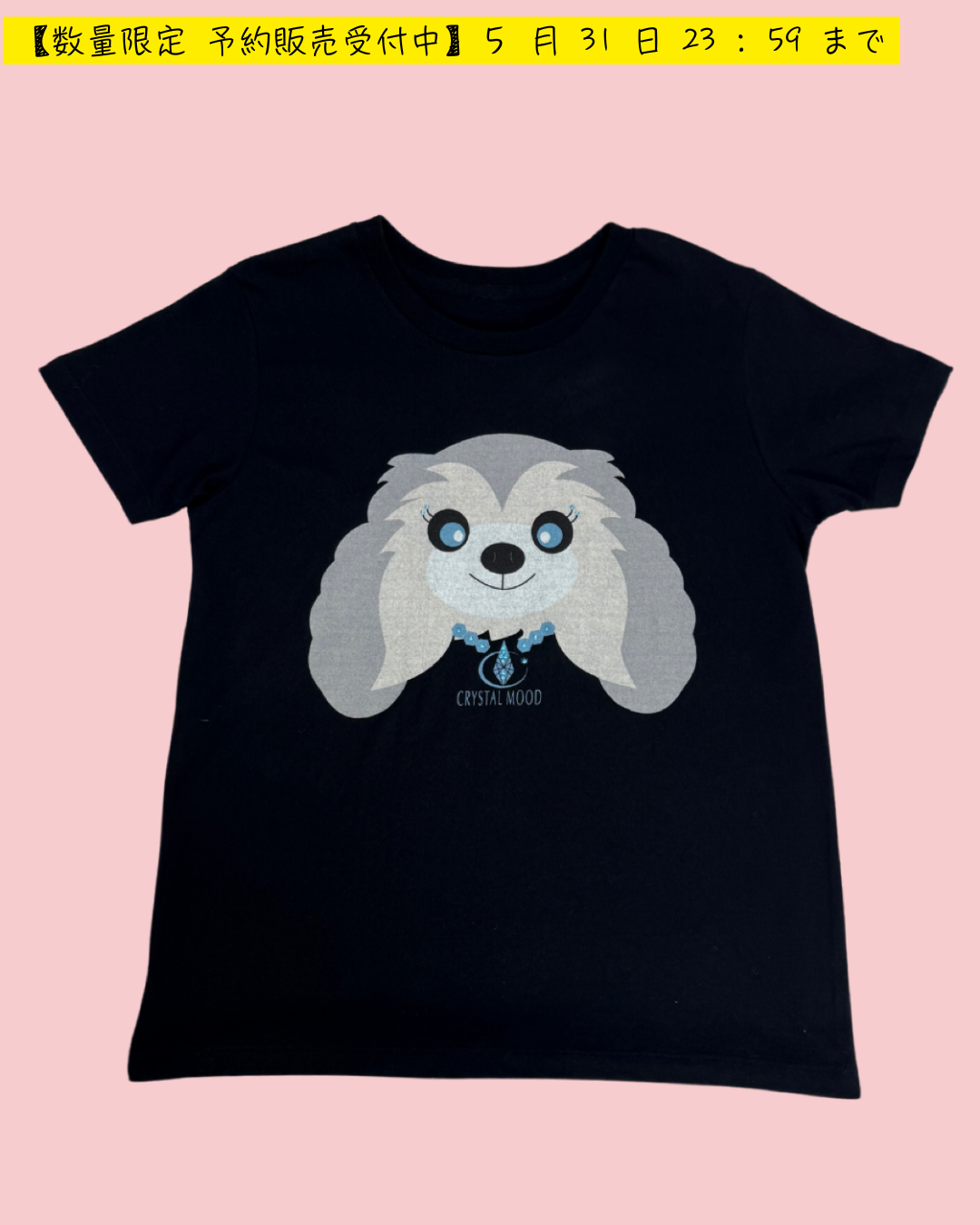 Chris with Crystals T-shirt / shadow black