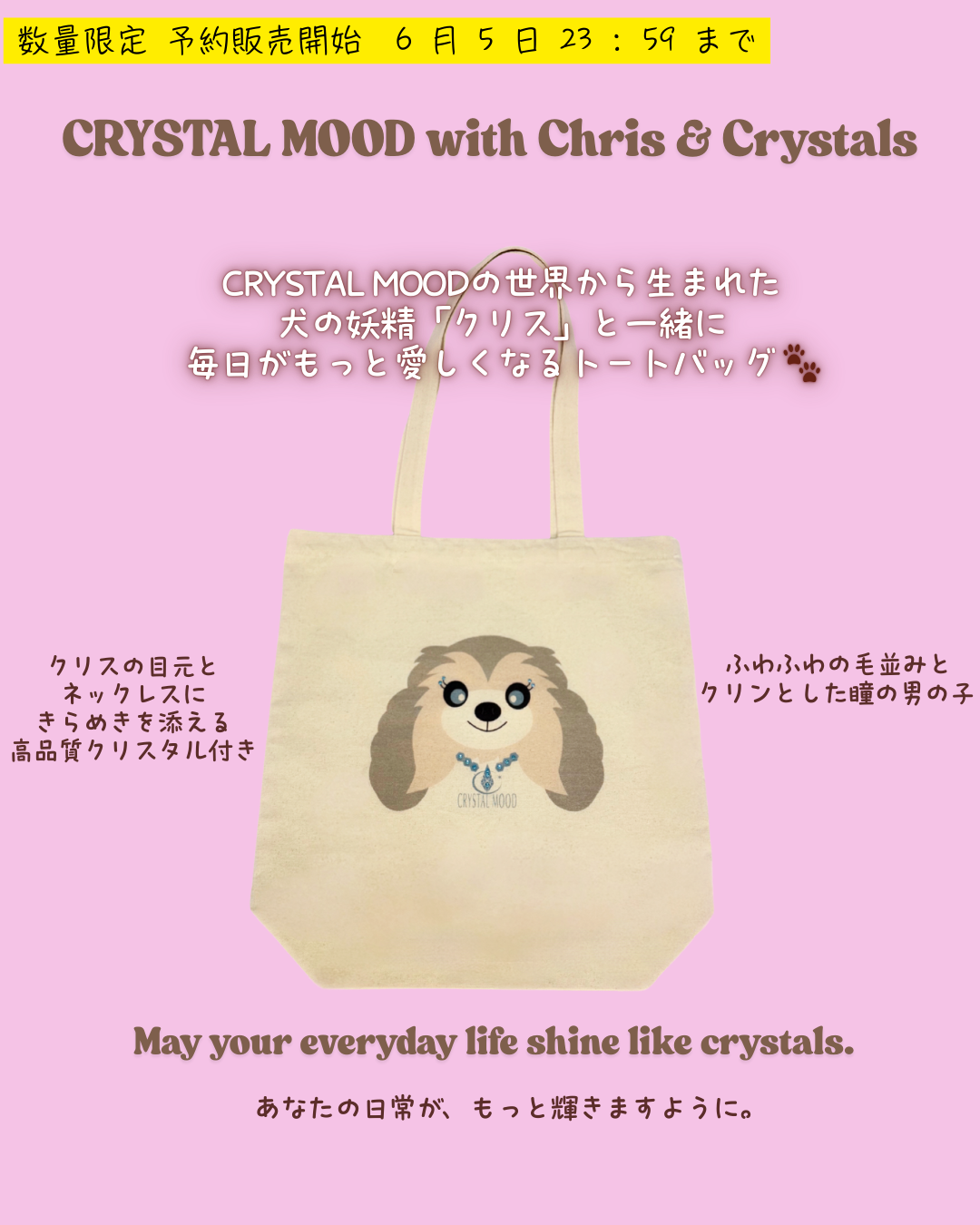 Chris with Crystals tote bag /pure natural