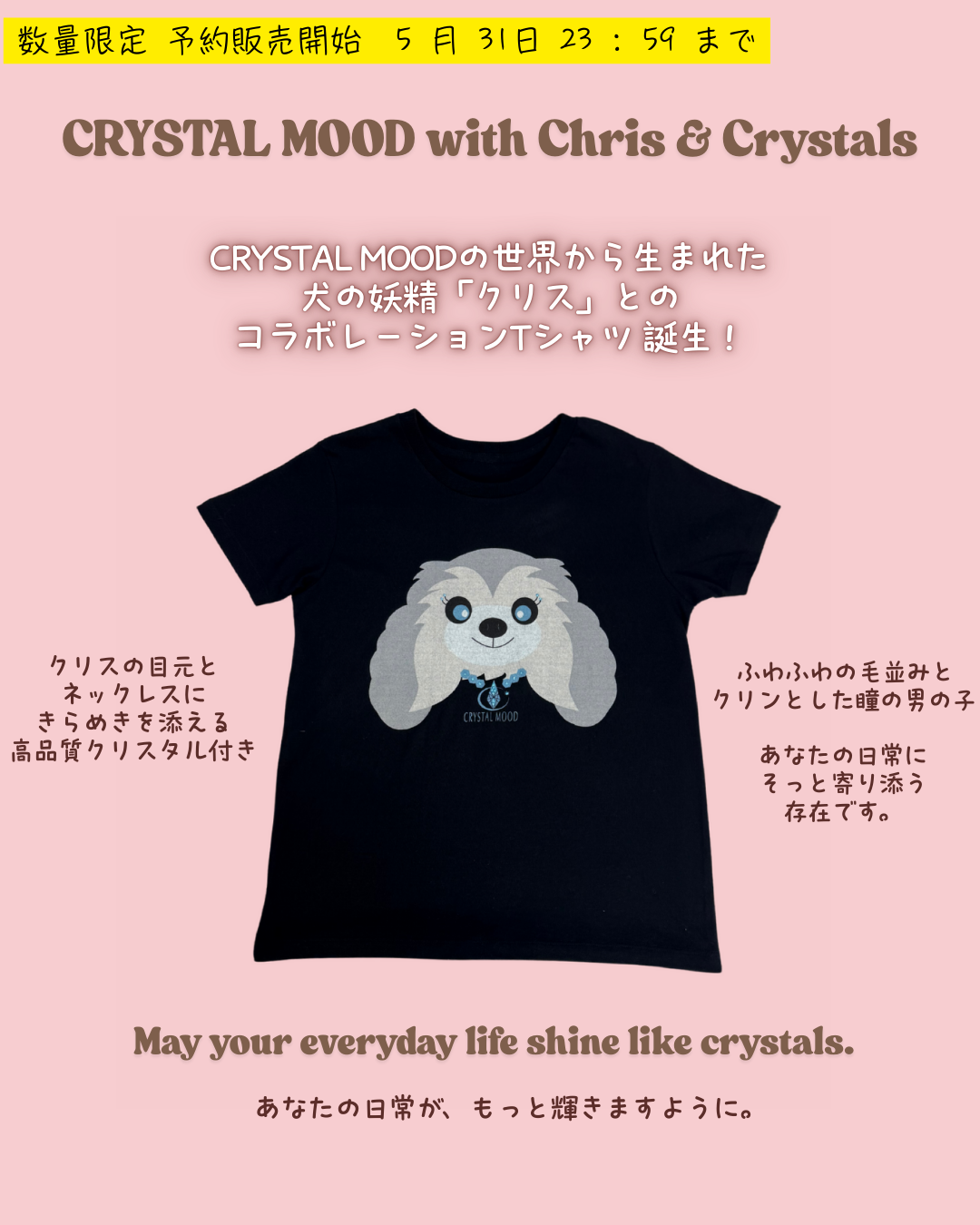 Chris with Crystals T-shirt / shadow black