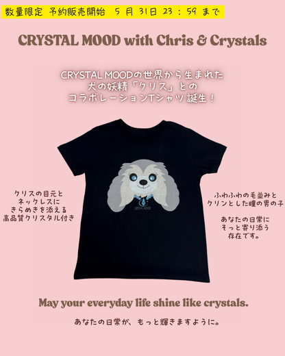 Chris with Crystals T-shirt / shadow black